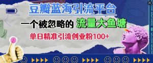 豆瓣蓝海引流平台，一个被忽略的流量大鱼塘，单日精准引流创业粉100+-虚拟资源库