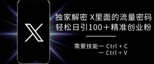 独家解密 X 里面的流量密码，复制粘贴轻松日引100+-虚拟资源库