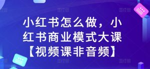 小红书怎么做，小红书商业模式大课【视频课非音频】-虚拟资源库