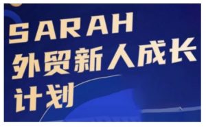 外贸新人成长计划，外贸新人学起来，偷偷让自己变强大-虚拟资源库
