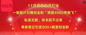 小红书11月最新图片打粉，一张图片引爆创业粉，“预算4980带我飞”，单条引流500+精准创业粉-虚拟资源库