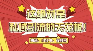 最新首发全平台引流玩法，公域引流私域玩法，轻松获客500+，附引流脚本，克隆截流自热玩法【揭秘】-虚拟资源库