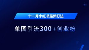 十一月小红书最新打法，单图引流300+创业粉【揭秘】-虚拟资源库