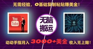 无需经验,0基础复制粘贴赚美刀,动动手指,月入3000+刀,无上限【揭秘】-虚拟资源库