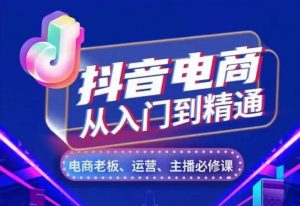 抖音电商从入门到精通,从账号、流量、人货场、主播、店铺五个方面,全面解析抖音电商核心逻辑-虚拟资源库