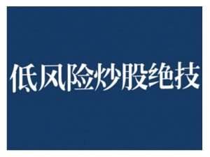 2024低风险股票实操营,低风险,高回报-虚拟资源库