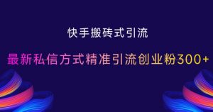 快手搬砖式引流，最新私信方式精准引流创业粉300+-虚拟资源库