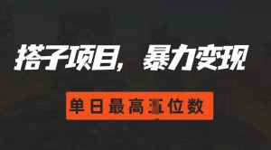 2024搭子玩法,0门槛,暴力变现,单日最高破四位数【揭秘】-虚拟资源库
