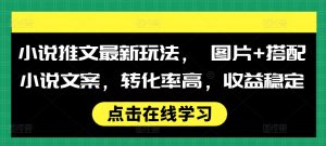 小说推文最新玩法， 图片+搭配小说文案，转化率高，收益稳定-虚拟资源库