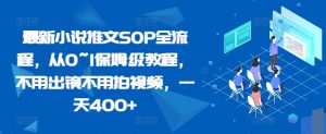 最新小说推文SOP全流程,从0~1保姆级教程,不用出镜不用拍视频,一天400+-虚拟资源库