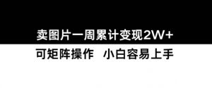 小红书【卖图片】一周累计变现2W+小白易上手-虚拟资源库