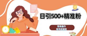 私域引流获客神器，全自动引流玩法日引 500+精准粉 加爆你的微信【揭秘】-虚拟资源库