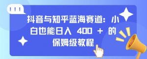 抖音与知乎蓝海赛道:小白也能日入 4张 的保姆级教程-虚拟资源库