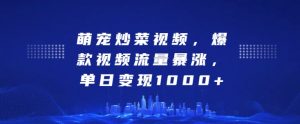 萌宠炒菜视频,爆款视频流量暴涨,单日变现1k-虚拟资源库