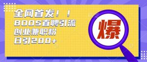 通过Boss直聘，每天轻松钓到200+多条创业大鱼的秘籍【揭秘】-虚拟资源库