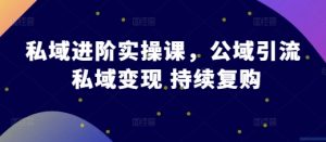 私域进阶实操课，公域引流 私域变现 持续复购-虚拟资源库