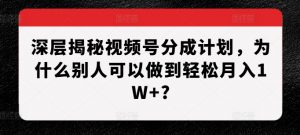 深层揭秘视频号分成计划,为什么别人可以做到轻松月入1W+?-虚拟资源库