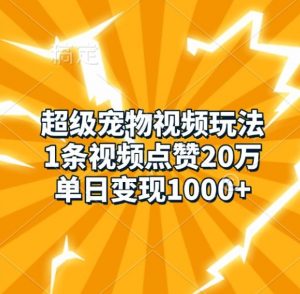超级宠物视频玩法，1条视频点赞20万，单日变现1k-虚拟资源库