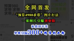 小红书“预算4980带我飞”图片打法，一张图片引爆创业粉，私信回不完，单条引流300+精准创业粉-虚拟资源库