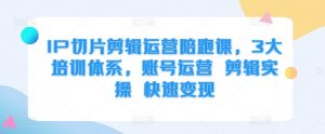 IP切片剪辑运营陪跑课,3大培训体系,账号运营 剪辑实操 快速变现-虚拟资源库