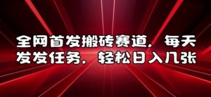 全网首发搬砖赛道，每天发发任务，轻松日入几张【揭秘】-虚拟资源库