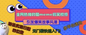 全网热推的猫咪搞笑视频，引发爆笑故事风潮，多平台适用，轻松实现日入四位数，无门槛快速入门!-虚拟资源库