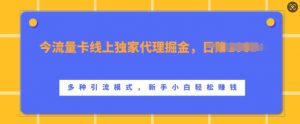 流量卡线上独家代理掘金，日入1k+ ，多种引流模式，新手小白轻松上手【揭秘】-虚拟资源库