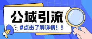 全公域平台,引流创业粉自热模版玩法,号称日引500+创业粉可矩阵操作-虚拟资源库