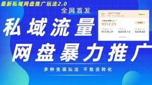 最新暴力私域网盘拉新玩法2.0，多种变现模式，并打造私域回流，轻松日入500+【揭秘】-虚拟资源库