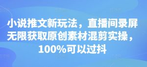 小说推文新玩法，直播间录屏无限获取原创素材混剪实操，100%可以过抖-虚拟资源库