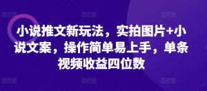 小说推文新玩法，实拍图片+小说文案，操作简单易上手，单条视频收益四位数-虚拟资源库