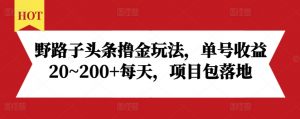 野路子头条撸金玩法，单号收益20~200+每天，项目包落地-虚拟资源库