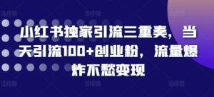 小红书独家引流三重奏，当天引流100+创业粉，流量爆炸不愁变现【揭秘】-虚拟资源库