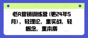 老A营销训练营(更24年11月)，轻理论，重实战，轻概念，重本质-虚拟资源库
