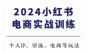 2024小红书电商3.0实战训练,包含个人IP、引流、电商等玩法-虚拟资源库