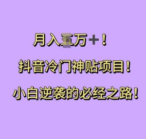 抖音冷门神贴项目，小白逆袭的必经之路，月入过W【揭秘】-虚拟资源库