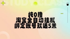 纯0撸,淘宝全自动挂JI,授权登录就得5米,多号多赚【揭秘】-虚拟资源库