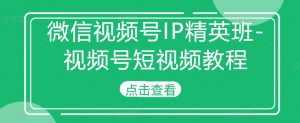 微信视频号IP精英班-视频号短视频教程-虚拟资源库