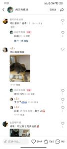 小红书私人定制图项目，附赠一单4W渠道【揭秘】-虚拟资源库