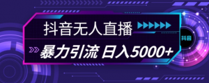 抖音快手视频号全平台通用无人直播引流法，利用图片模板和语音话术，暴力日引流100+创业粉【揭秘】-虚拟资源库