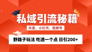 私域流量的精准化获客方法 野路子玩法 吃透一个点 日引200+ 【揭秘】-虚拟资源库