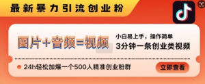 抖音最新暴力引流创业粉，3分钟一条创业类视频，24h轻松加爆一个500人精准创业粉群【揭秘】-虚拟资源库