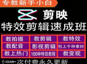 剪映特效教程和运营变现教程,特效剪辑速成班,专教新手小白-虚拟资源库