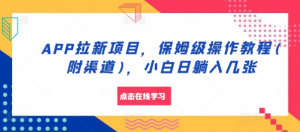APP拉新项目，保姆级操作教程(附渠道)，小白日躺入几张【揭秘】-虚拟资源库