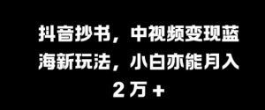 抖音抄书，中视频变现蓝海新玩法，小白亦能月入 过W【揭秘】-虚拟资源库