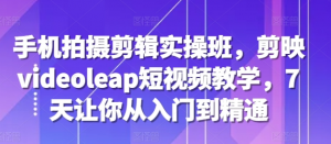 手机拍摄剪辑实操班，剪映videoleap短视频教学，7天让你从入门到精通-虚拟资源库
