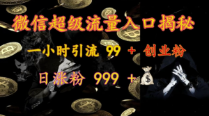微信超级流量入口揭秘：一小时引流 99 + 创业粉，日涨粉 999 +-虚拟资源库