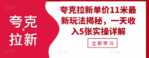 夸克拉新单价11米最新玩法揭秘,一天收入5张实操详解-虚拟资源库