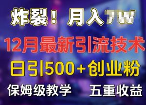 炸裂!揭秘12月最新日引流500+精准创业粉，多重收益保姆级教学-虚拟资源库