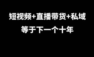 短视频+直播带货+私域等于下一个十年，大佬7年实战经验总结-虚拟资源库